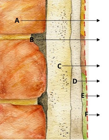 Sezione stratigrafica di un affresco